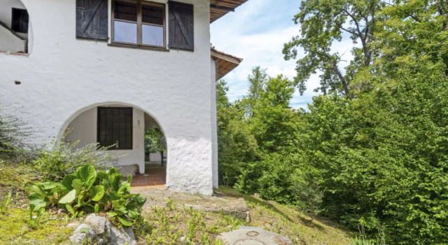 Nel Bosco (Lgi220)