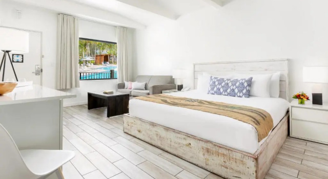 Номер с видом на бассейн Blue Flamingo Resort Key West