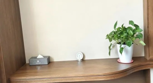 Люкс Deluxe Ruidu Hotel, Balikun