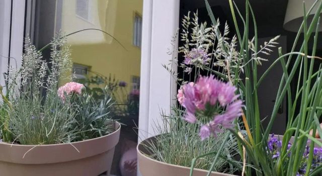 Апартаменты Nest Apartment Zemun