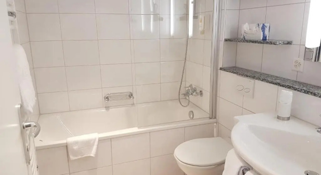 Двухместный номер Standard Hotel Concordia