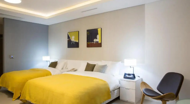 Люкс Premier Hotel Mate Bundang