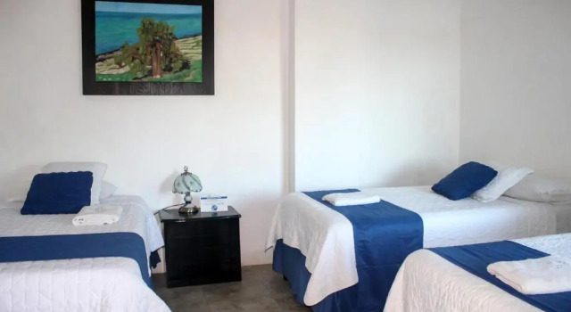 Номер Comfort Hotel Cally