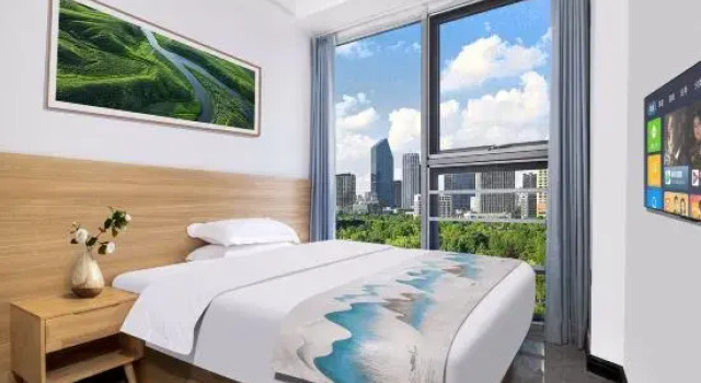 Люкс Jingsen Hotel (South High-speed Railway Station International Convention and Exhibition Center)
