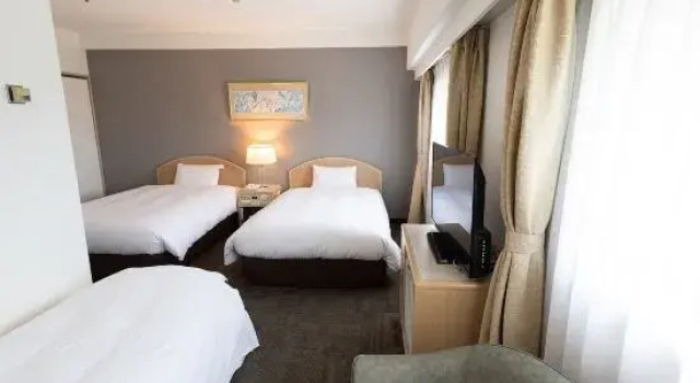 Номер Deluxe Tottori Washington Hotel Plaza