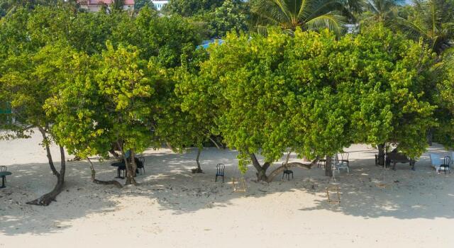 Rosy Villa Hotel, Reserva ahora Villa Guraidhoo 