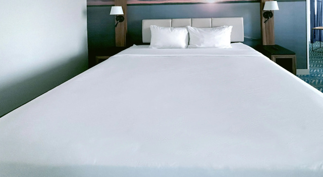 Двухместный номер Deluxe с видом на город Fort Pontchartrain Detroit, a Wyndham Hotel