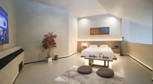 Люкс Wenzhou Taishun Art Museum Hotel
