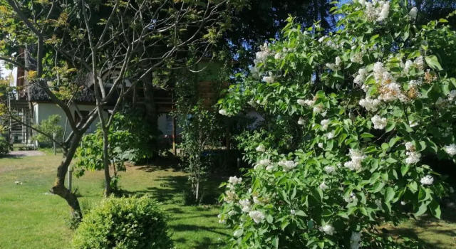 Апартаменты Ferienwohnung am Haffberg