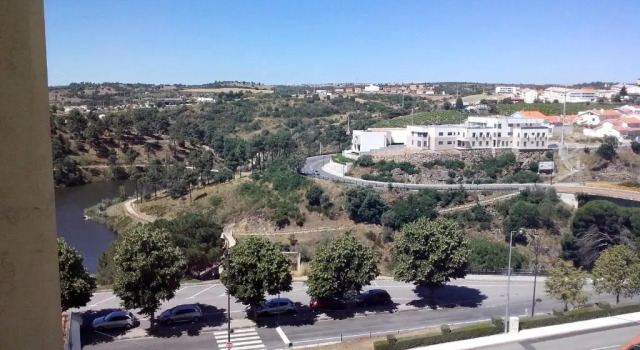 Номер Standard Hotel Mirafresno