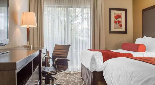 Шестиместный номер Standard Comfort Inn
