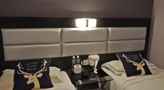 Двухместный номер Superior T Hotel Johor Bahru