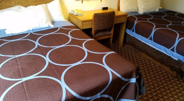 Четырёхместный номер Standard Auburn Inn