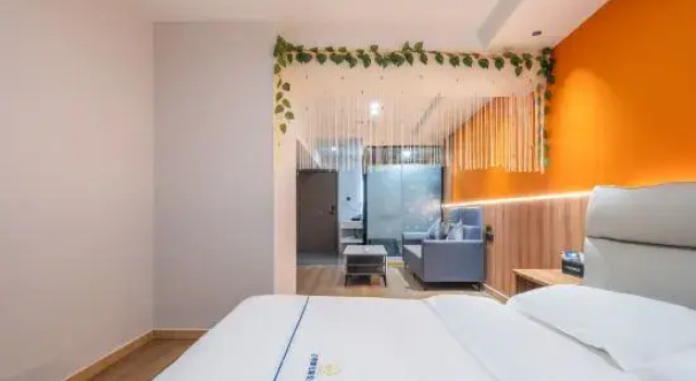 Люкс Deluxe Four Seasons Haojia Boutique Apartment