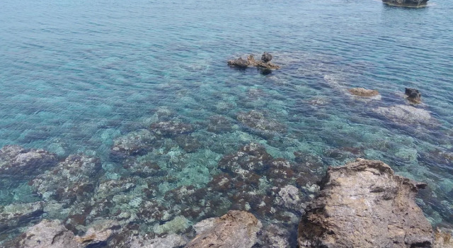 Protaras Blue Sea Apartment