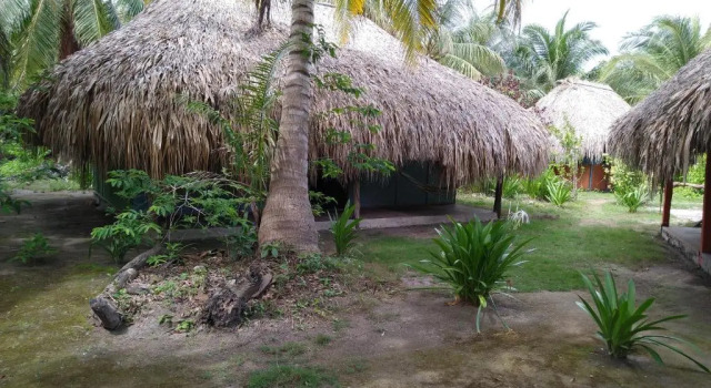 Номер Standard Eco Hotel Las Palmeras