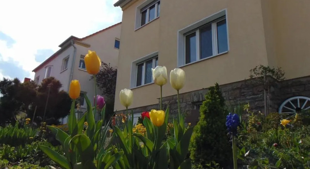 Apartment Avanzato