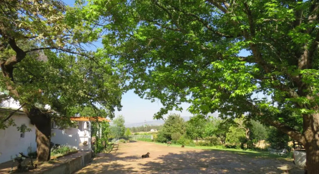 Апартаменты c 1 комнатой Modderkloof Farm Accommodation