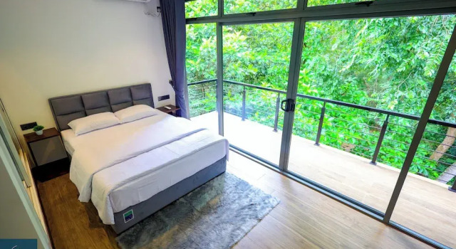 Forest Face Lodge