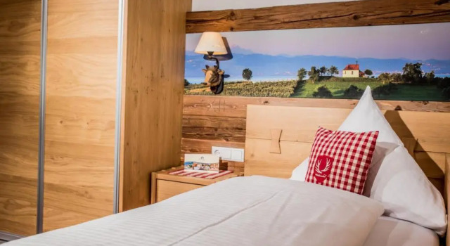 Одноместный номер Hotel-Gasthof Adler