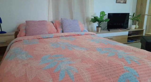 Апартаменты Studio Apartman Mary