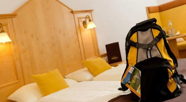 Двухместный номер Comfort Hotel Stegerbräu