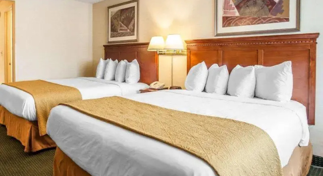 Четырёхместный номер Standard Quality Inn SeaTac Airport-Seattle