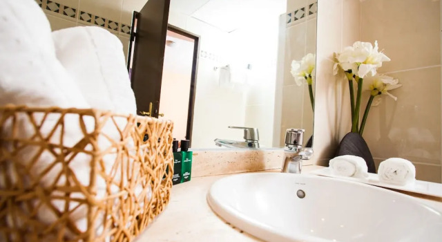 Одноместный номер Standard Aeroport Hotel - Parc Expo