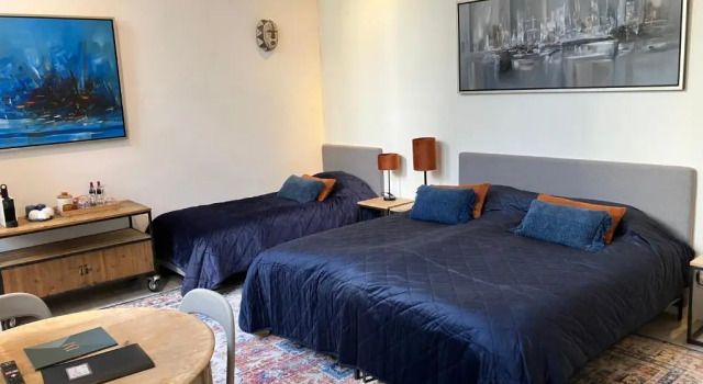 Полулюкс с видом на сад Galerie Hotel Dis