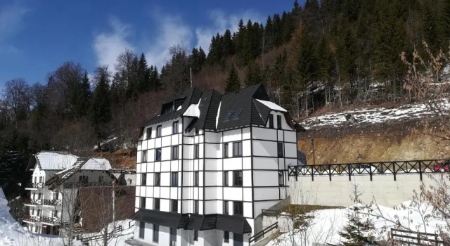 Апартаменты Vila Irina Kopaonik