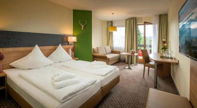 Номер Superior Hotel-Resort Waldachtal