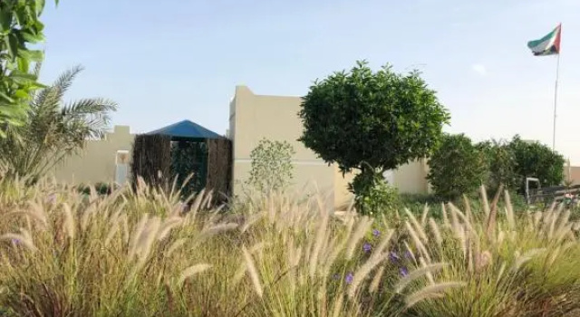 Коттедж Al Ghoroub Farm Stay - مزرعة الغروب للإيجار اليومي