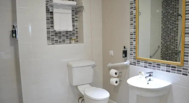Двухместный номер Classic Carrick Plaza Suites and Apartments