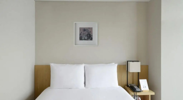Двухместный номер Deluxe Harbor Park Hotel
