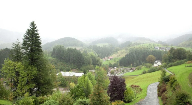 Апартаменты Modern Apartment in Bad Peterstal-Griesbach with Vineyards