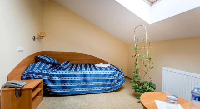 Номер Economy ARIBĖ Hotel Klaipėda, Free Parking