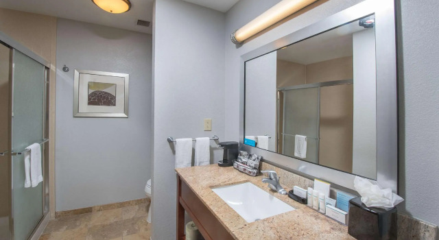 Четырёхместный номер Standard Hampton Inn & Suites Selma-San Antonio/Randolph AFB