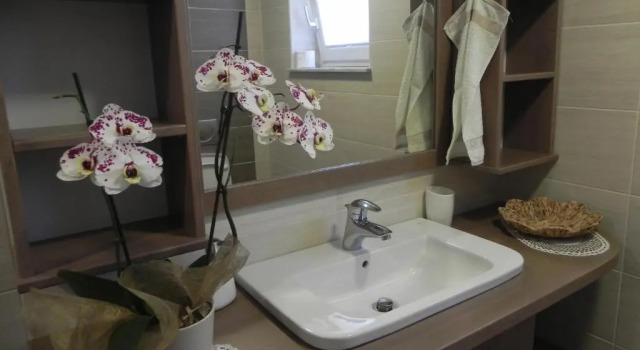 Номер Standard Apartments Vesna