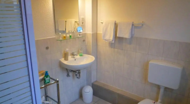 Одноместный номер Standard Hotel Alt-Lennep
