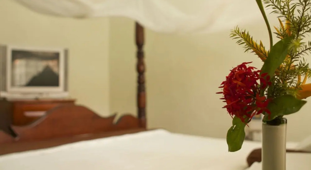 2 Bedrooms Bungalow with balcony Olive Gardens Hotel Kampala