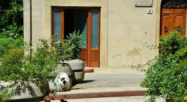 Студия Superior B&B Il Castello
