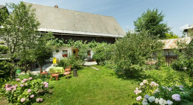Коттедж House, Garden and a Green Cat