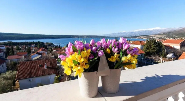 Студия Apartments Milic