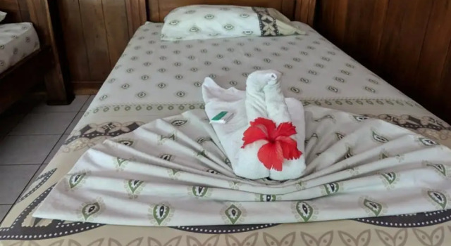 Номер Superior Miss Junies Lodge