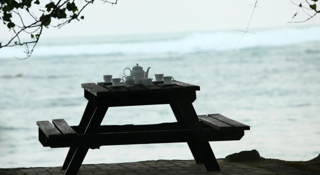 Reef Edge