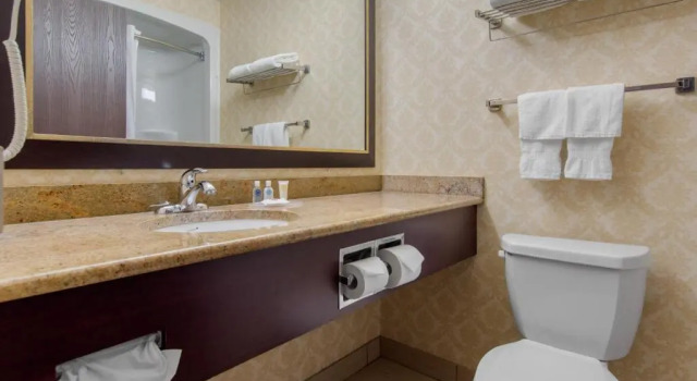 Номер Standard Comfort Inn & Suites