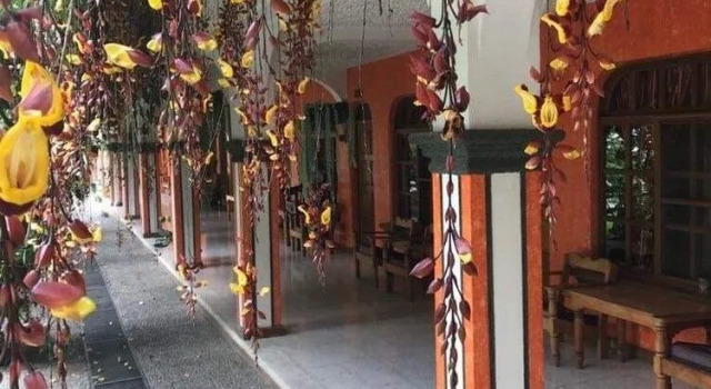 Posada de Don Jose, Reserva ahora Hotel Panajachel 