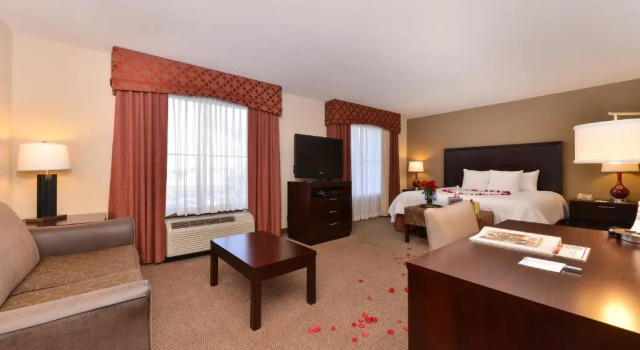 Люкс c 1 комнатой Hampton Inn & Suites Phoenix/Gilbert