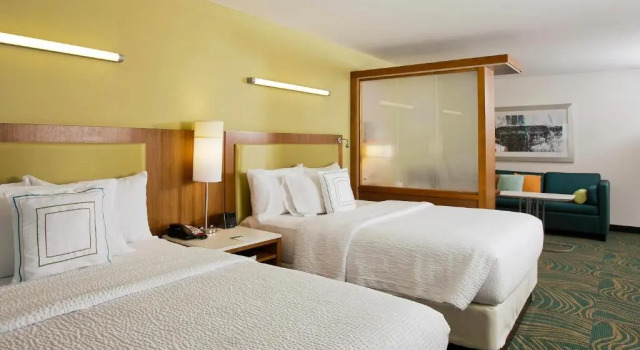 Двухместная студия SpringHill Suites by Marriott Mobile West