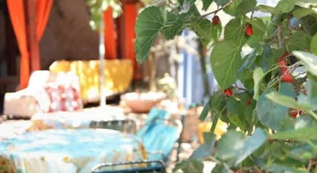 Galila Guest - House, Rezervovat Penzión Metula 